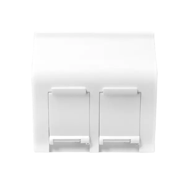 French Face Plate 2Port 45x45 45 Angled with Dust Cover White BC452C