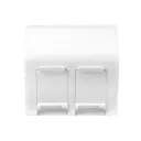 French Face Plate 2Port 45x45 45 Angled with Dust Cover White BC452C